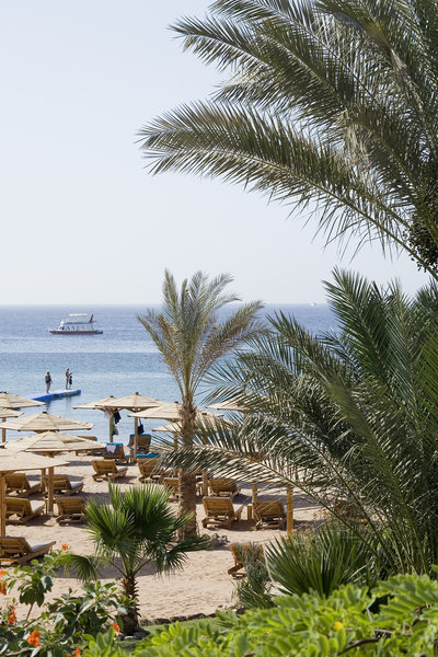 Novotel Coralia Sharm 5