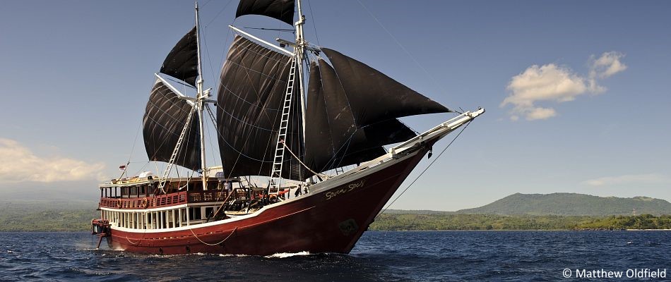 The Seven Seas  liveaboard