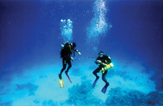 Leer duiken in Sharm  Emperor Divers 4* 1