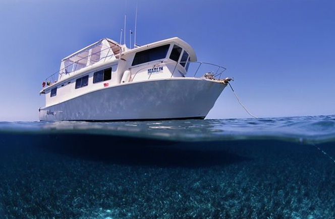 Jardines de La Reina  Liveaboard 22