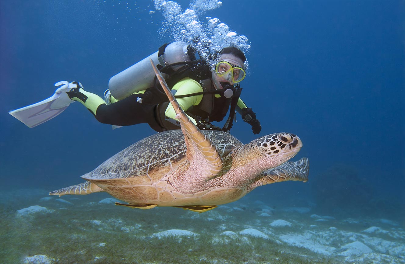 Malapascua Bohol en Oriental Negros