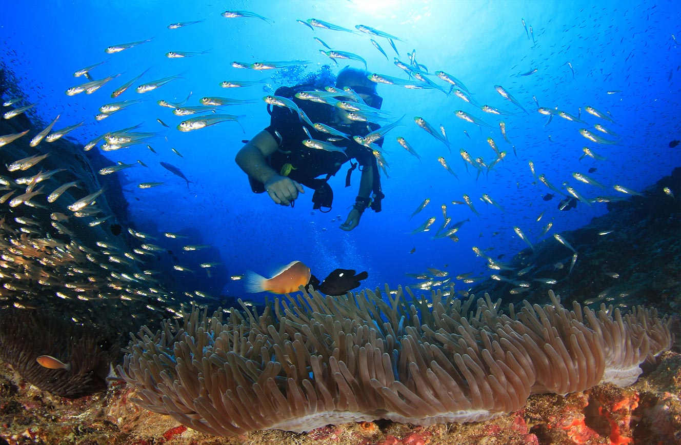 Coral Bay Beach and Dive Resort