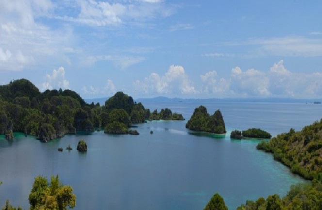 Gangga Island en Raja Ampat West Papua 6