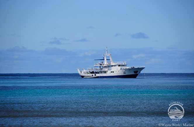 Okeanos Aggressor I liveaboard Cocoseilanden 1