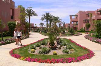 Leer nu duiken in Sharm  el Sheikh! 4* 8