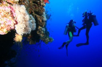 Leer nu duiken in Dahab! 4*